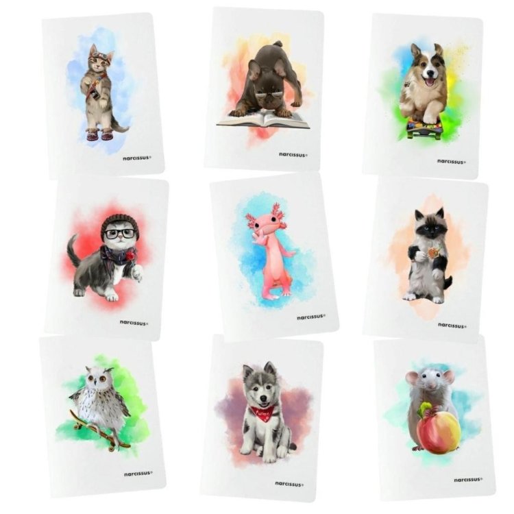 Zeszyt A5/60K kratka PP Joy (9szt) NARCISSUS