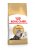ROYAL CANIN Persian Adult - karma dla kota rasy pers - 2kg