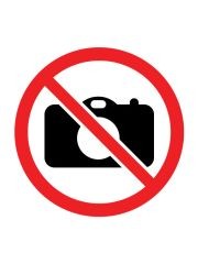 Rodzina Treflików Boom Boom TREFL