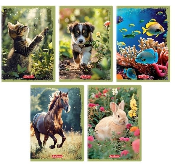 Zeszyt A5/16K gładki Animals (20szt)