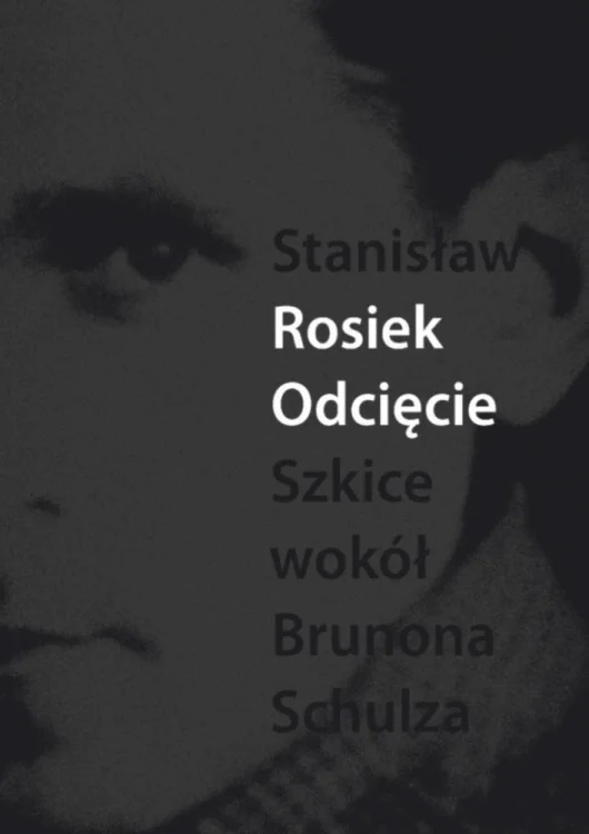Odcięcie. Szkice wokół Schulza