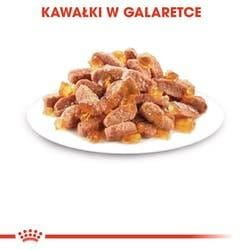 Royal Canin FHN Kitten Instinctive w sosie - mokra karma dla kociąt - 12x85g