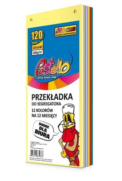 Przekładka do segregatora 1/3 A4 120K 12 kolorów
