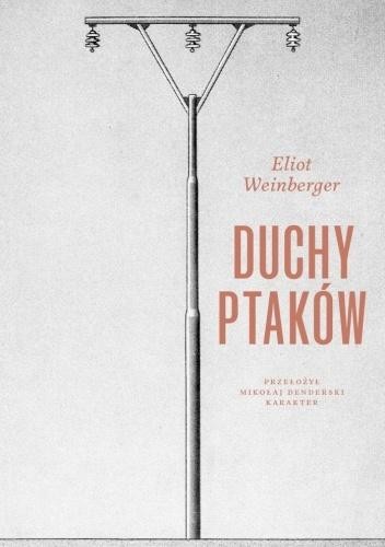 Duchy ptaków