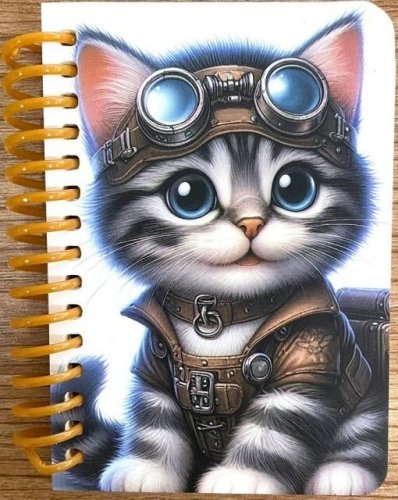 Kołonotatnik ozdobny A7/64K gładki Kot