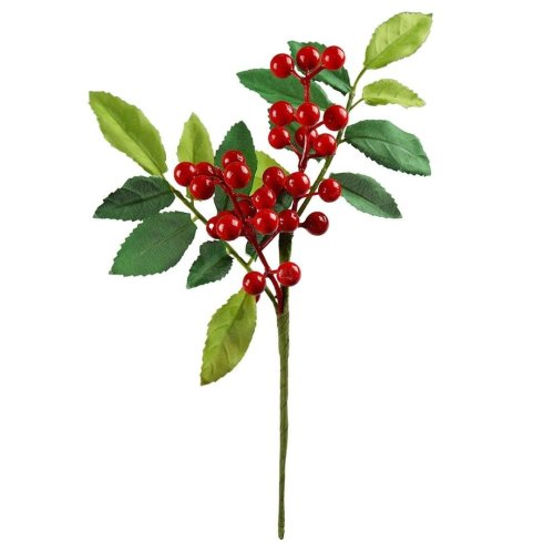 Zimowa gałązka z jagodami