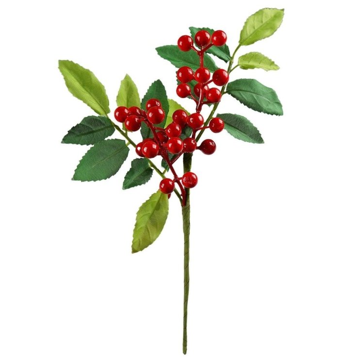 Zimowa gałązka z jagodami