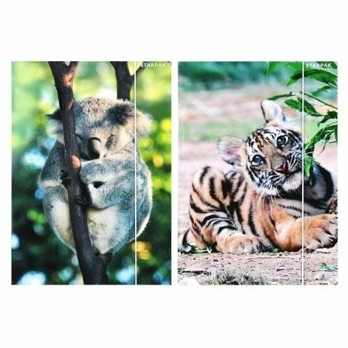 Teczka z gumką A4 Wild Animal 2 mix