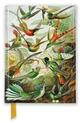 Notatnik A6 linia TW Kolibry Ernst Haeckel