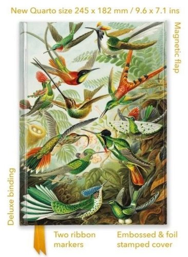 Notatnik quatro linia TW Kolibry Ernst Haeckel