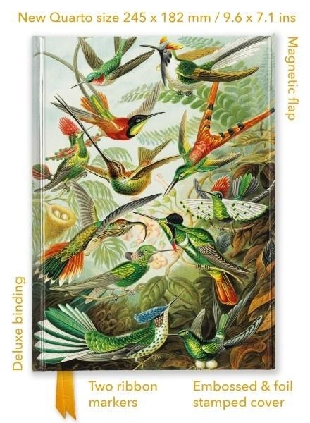 Notatnik quatro linia TW Kolibry Ernst Haeckel