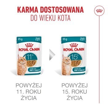ROYAL CANIN FHN Cat Ageing 11+ Gravy 12x85g