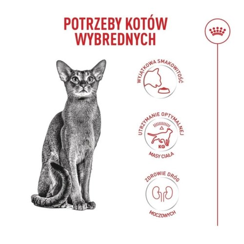 ROYAL CANIN FHN Cat Ageing Sterilised 11+ 4kg
