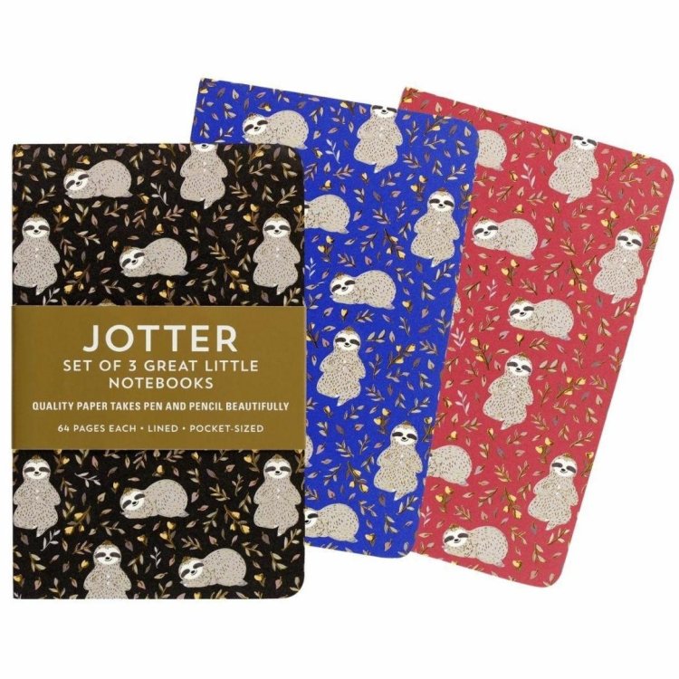 Notatniki Jotter Leniwce 9x14cm (3szt)