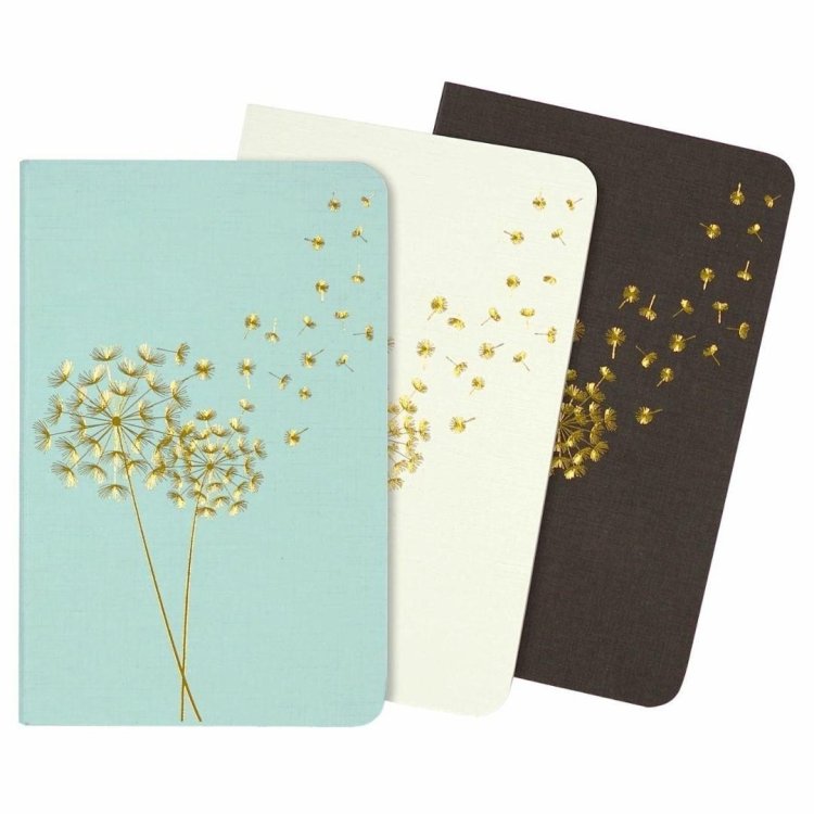 Notatniki Jotter Dmuchawce 9x14cm (3szt)