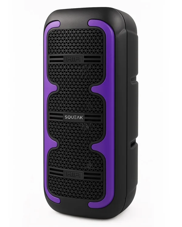 SQUEAK GŁOŚNIK KARAOKE BEATONE BLUETOOTH 5.3, 45W RADIO FM, MICROSD, AUX, USB, USB-C SQ1009