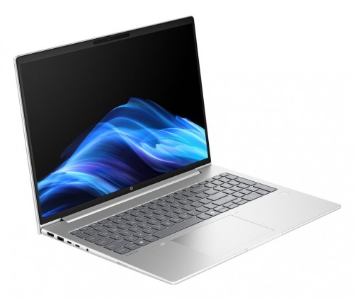 HP ProBook 4 G1a Ryzen 7 250 16.0"WUXGA IPS 300nits AG 24GB DDR5 5600 SSD512 Radeon 780M Cam1080p 56Wh W11Pro Pike silver 3Y OnSite