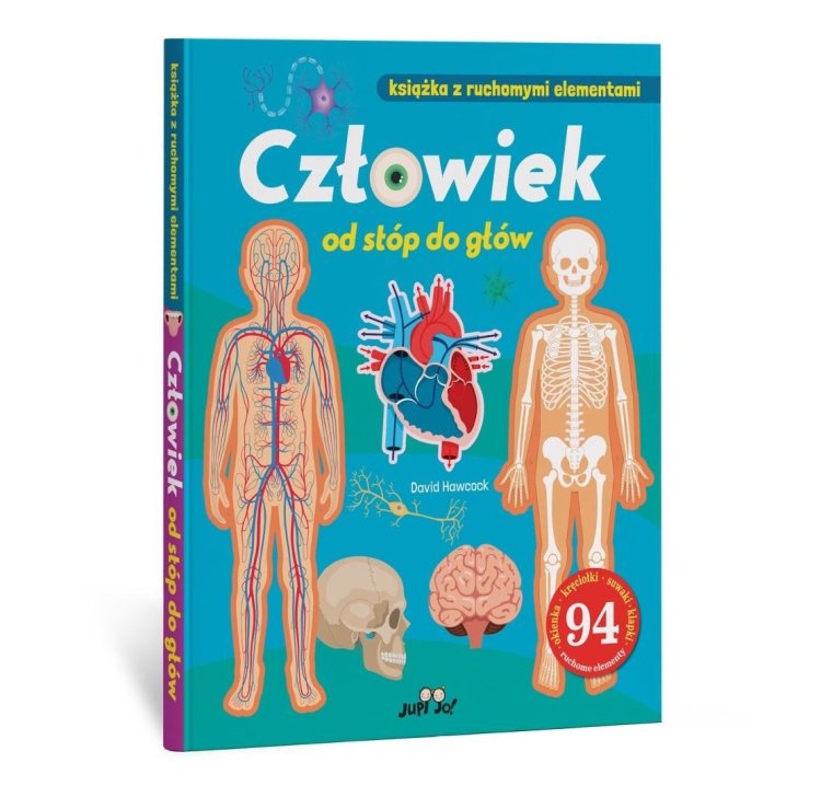 Człowiek od stóp do głów. Książka z ruchomymi el.