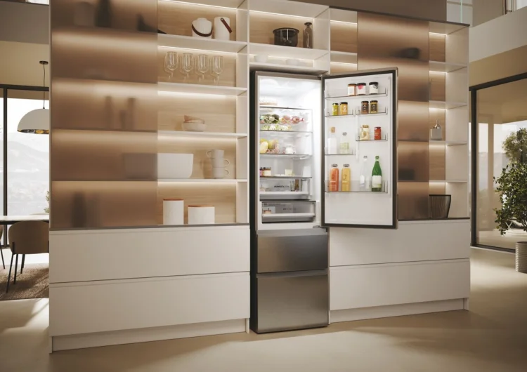 Lodówka Multidoor Haier HTW5620DNMG (inox)