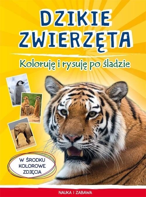 Dzikie zwierzęta. Koloruję i rysuję po śladzie