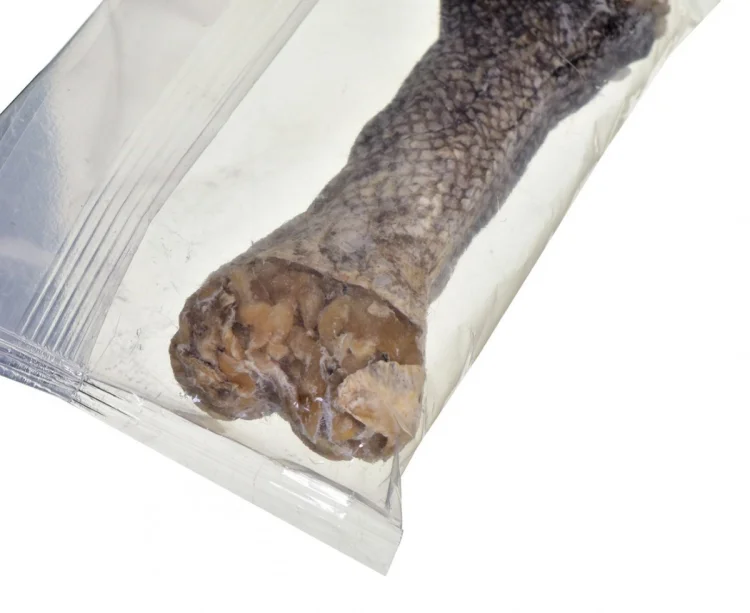 JOHN DOG Kość do żucia z dorszem - gryzak dla psa - 12 cm