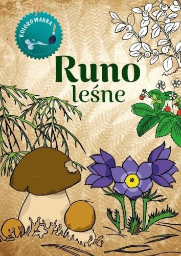 Kolorowanka. Runo Leśne