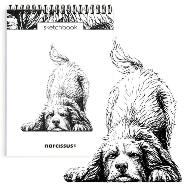 Szkicownik A5/60K na spirali - Pies Berneńczyk