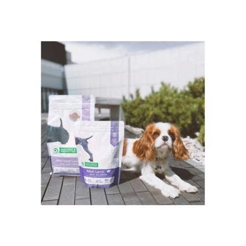 Nature's Protection Adult Lamb All Breeds 12kg