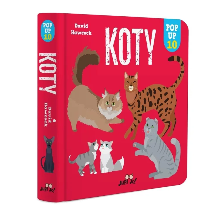Koty. POP-UP 10