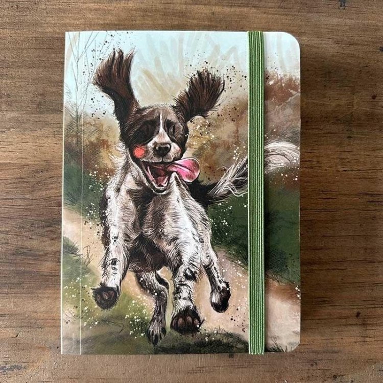 Notatnik z gumką A6 SCN35 Pies Spaniel